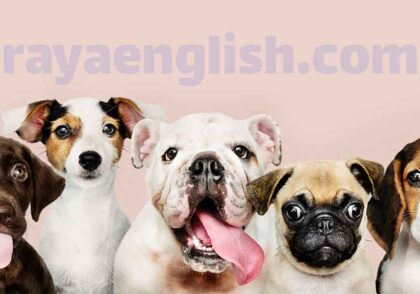 آموزش اسم حیوانات انگلیسی برای کودکان